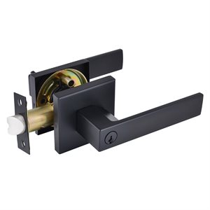 Door Lock Lever Entry Matte Black