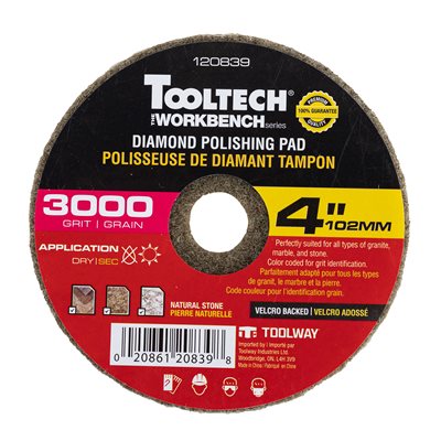 10Pc Diamond Dry Polishing Pad 4in 3000grit