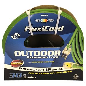 Extension Cord Outdoor SJEOW 12 / 3 Lighted Single Tap Green 30ft