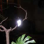 Clip-On Motion Sensor Led Solar Light