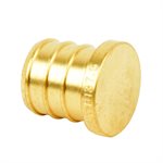 Pex Brass Plug ¾in Barb