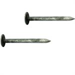 Roofing Nail HD Galv 1in 3lbs (1.5kg) / pk