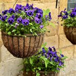 Coco Liner for Hanging Basket Round Bottom 14in (36cm)