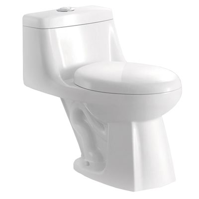1-Piece Toilet Dual Flush Elongated-Front 4.8L / 6L White