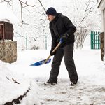 Pelle À Neige Pour Auto 10po Poly Avec Manche En Frêne 40po Poignée-D Turquoise