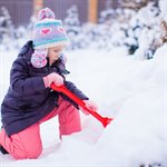 Pelle À Neige En Plastique D-Poignée 9po