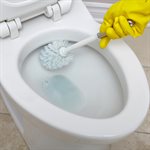 HAZ HG Heavy Duty Toilet Bowl Cleaning Gel 500ml