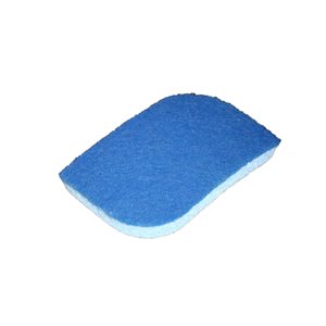 Sponge / Scourer All Purpose 4.5x2.5x1in Blue