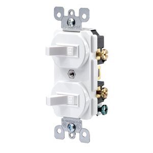 Duplex Style Combination Switch Single-Pole White