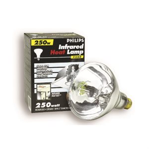 Ampoule Incandescente BR40 pour Lampe à Rayonnement Infrarouge à Base E26 250W