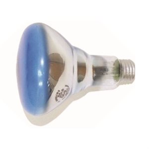 Ampoule Incandescente BR30 Agro pour Réflecteur de Plantes 75W