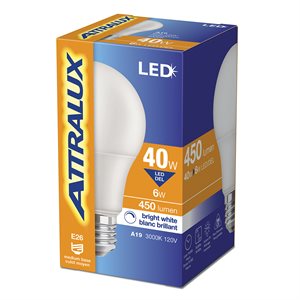 Ampoule LED A19 Non-Dimmable à Base E26 6W Blanc Lumineux
