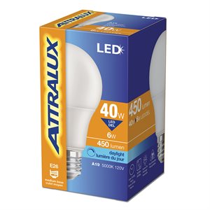 Bulb A19 LED Non-Dimmable E26 Base 6W Daylight