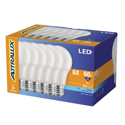 6PK Bulb A19 LED Non-Dimmable E26 Base 9W Daylight