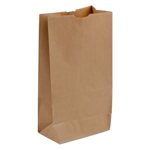 500PK Brown Paper Shopping Bags 3lb