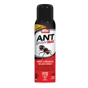 Ant B Gon Max Ant & Roach Killer Spray 400g
