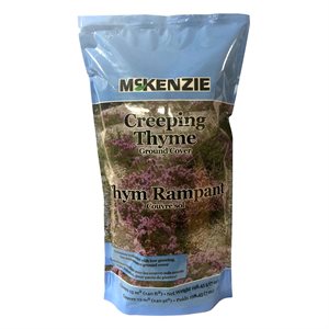 McKenzie Creeping Thyme Groundcover Seeds Sun / Part Shade 198g / 140sq.ft.