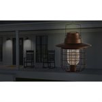 Audubon Modern Farmhouse Solar Cage Barn Light Mangeoire À Graines pour Oiseaux Sauvages