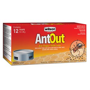 AntOut Ant Bait Traps 12pk