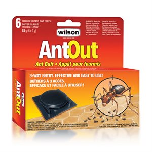 AntOut Plastic Ant Bait Traps 6 / Pk