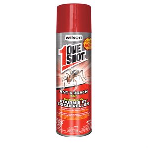 One Shot Ant & Roach Killer Spray 425G