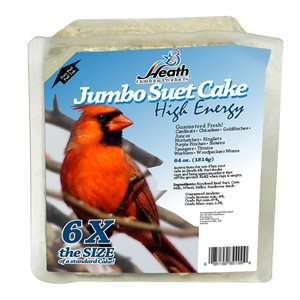 Suet Cake Songbird High Energy Jumbo 4lb for Large Suet Cage