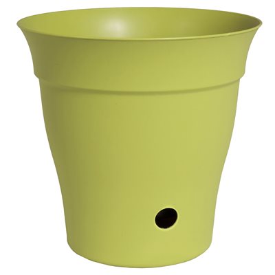 Contempra Pot With Inside Saucer Bamboo Green 10in