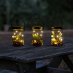 Lanterne LED à suspendre en pot succulent - Plateau assorti Paquet de 12