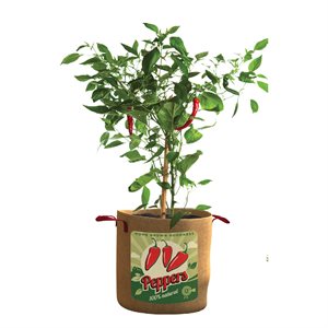 Burlap Grow Bag for Peppers 10-gallon 12.5inDia x 16inH Natural