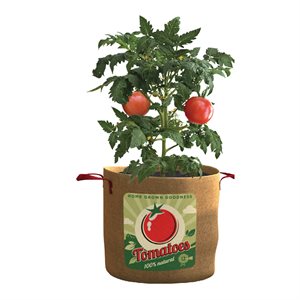 Burlap Grow Bag for Tomatoes 20-gallon 20inD x 14.5inH Natural