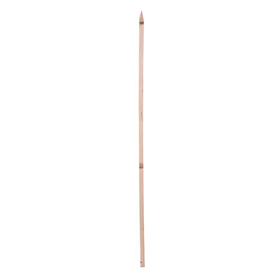 Plant Support Hardwood Stake 72in