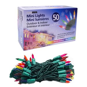 Incandescent String Lights Mini Indoor / Outdoor 50 Multi 10.6'