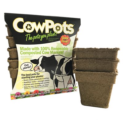 Cowpots Seed Starting Pots 4in Square 12Pk