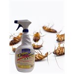 Home Pest Control Spray RTU 946ml